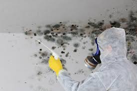 Mold Odor Removal Services in Tolono, IL